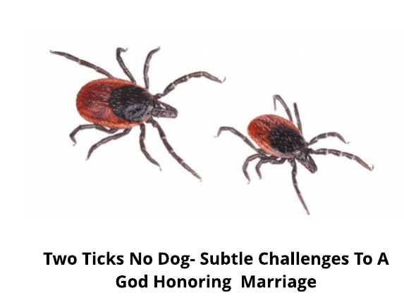 two ticks no dog subtle challenges to a god honoring marriage