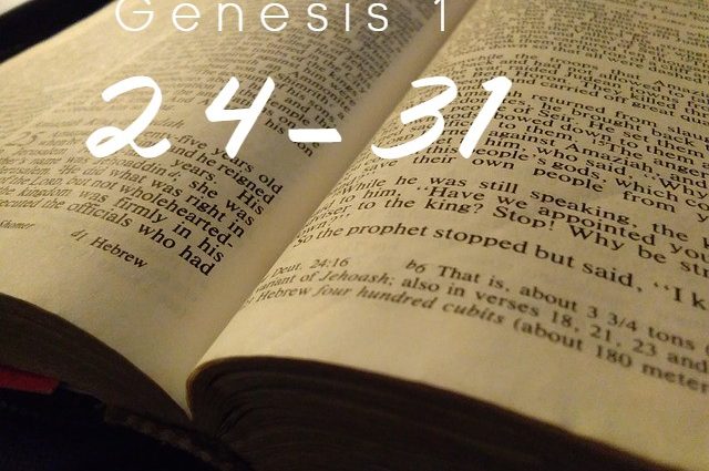 Genesis 1:24-31 exposition