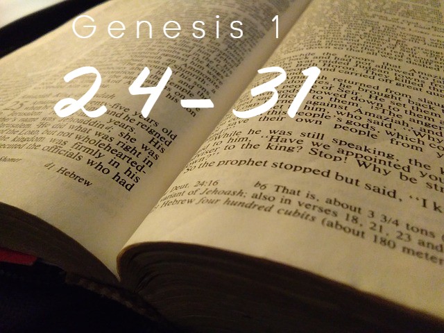 Genesis 1:24-31 exposition