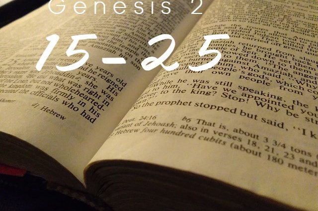 Genesis 2:15-25