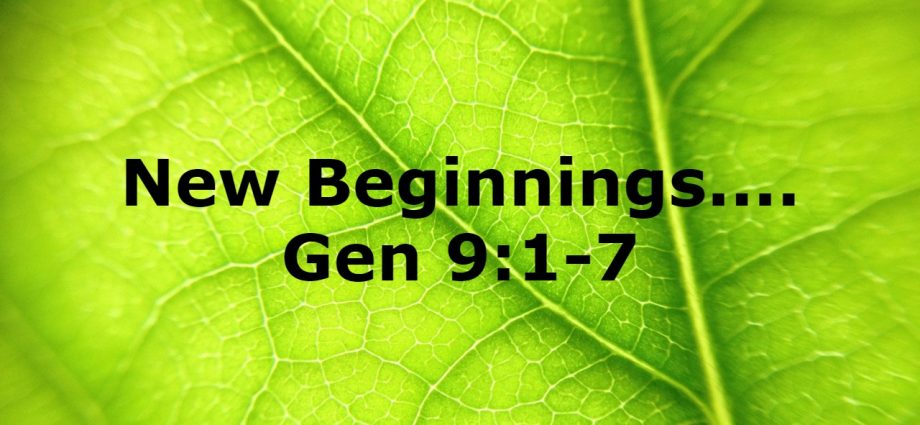 genesis 9 1 to 7 God grants human dominion
